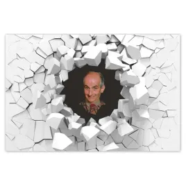 naklejki-120x80-louis-de-funes-aktor
