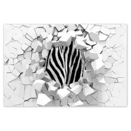 naklejki-60x40-czarno-biale-pasy-zebra