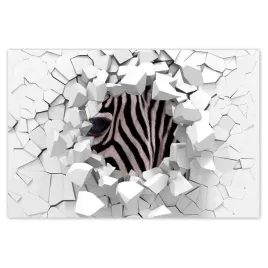 naklejki-60x40-makro-fotografia-zebra