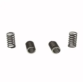 sprezyny-sprzeglowe-trw-mef106-4-honda-cb-kawasaki-zxr-suzuki-gn-vl
