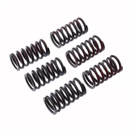 sprezyny-sprzeglowe-trw-mef317-6-ducati-748-749-996-999-monster-st