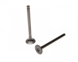 zawor-ssacy-i-wydechowy-motorower-4t-139fmb-50ccm