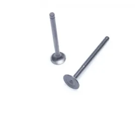 zawor-ssacy-i-wydechowy-silnik-jj1p39qmb