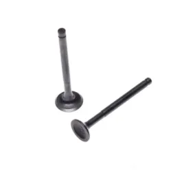 zawor-ssacy-i-wydechowy-kpl-do-glowicy-50-80-ccm