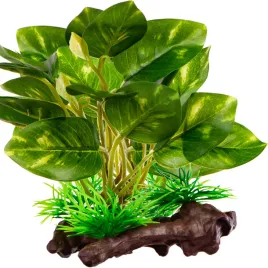 roslinka-sztuczna-kruger-meier-plant-ficus-root