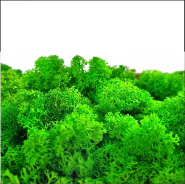 drzewko-lesnego-spokoju-szerokosc-produktu-79-cm