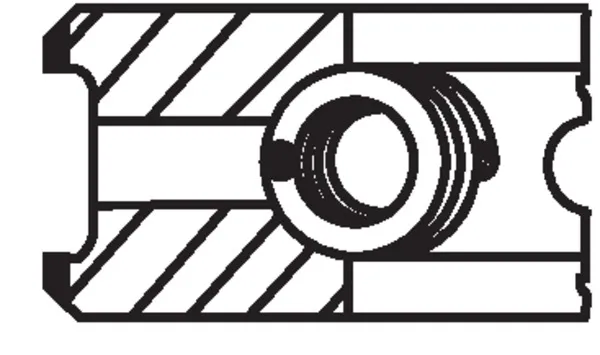 piers-tl-producent-czesci-mahle