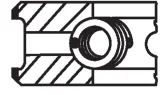 piers-tl-producent-czesci-mahle