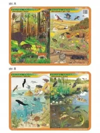 podkladka-edu-021-mieszkancy-baltyku-jezior-visual-system
