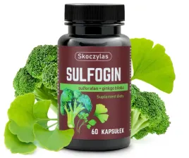 sulfogin-sulforafan-ginkgo-biloba