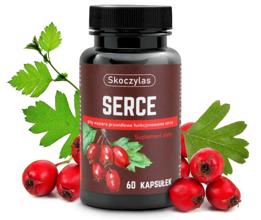 serce-glog-serdecznik-l-lizyna