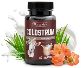 colostrum-siara-kozia-z-pigwa