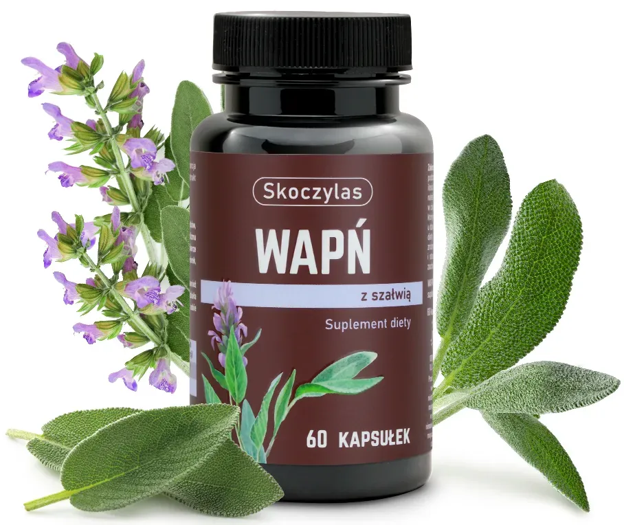 wapn-z-szalwia