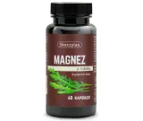 magnez-z-rukola-marka-skoczylas