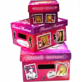 pudelko-skladane-tekturowe-hannah-montana-m-zestaw-3-sztuk-prostokatne