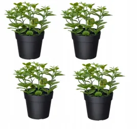 ikea-fejka-sztuczna-roslina-w-doniczce-mieta-komplet-zestaw-4-sztuk