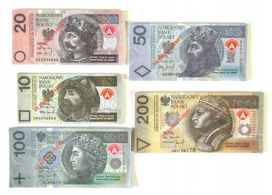 kasa-edukacyjna-alexander-material-karton-plastik