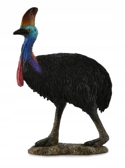 kazuar-helmiasty-collecta