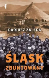 slask-zbuntowany-czarne