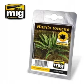 ammo-plants-hart-s-tongue-ammo