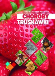 choroby-truskawki-karolina-felczak-konarska