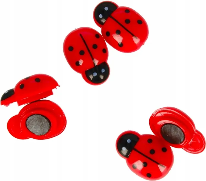 magnesy-biedronki-6-sztuk-material-plastik