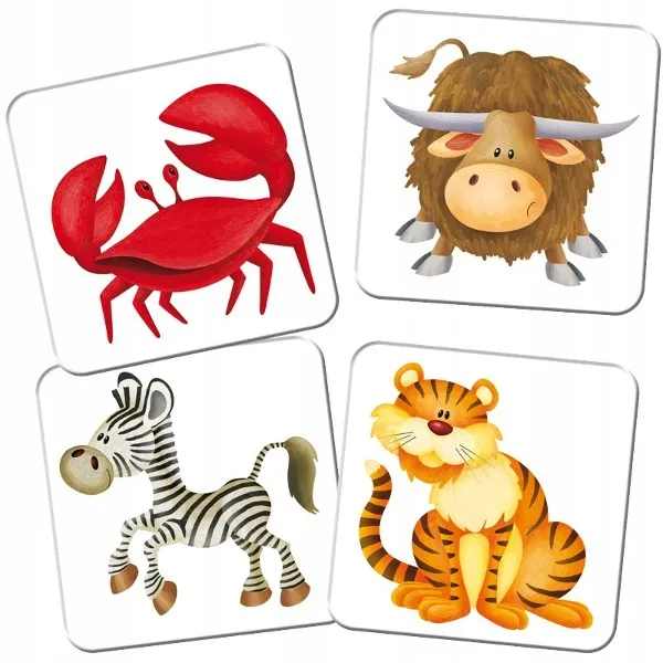 kuferek-zoo-memory-adamigo-adamigo