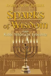 ksiazka-sparks-of-wisdom-from-rabbi-yehonatan-eybeshitz