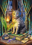 puzzle-1000-magic-collection-ksiega-cieni-trefl-marka-trefl