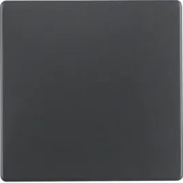 klawisz-pojedynczy-berker-q-1-q-3-antracyt