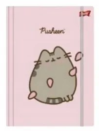 teczka-z-gumka-a4-pusheen-pink