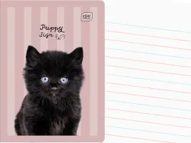 interdruk-zeszyt-a5-linia-dwukolorowa-32-kartki-w-linie-puppy-sign-kot