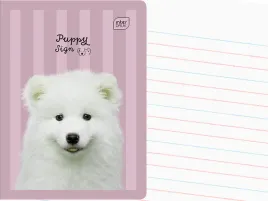 interdruk-zeszyt-a5-linia-dwukolorowa-32-kartki-w-linie-puppy-sign-pies