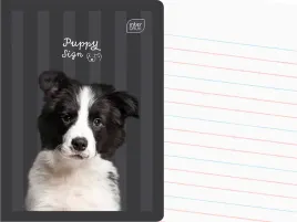 interdruk-zeszyt-a5-linia-dwukolorowa-32-kartki-w-linie-puppy-sign-pies