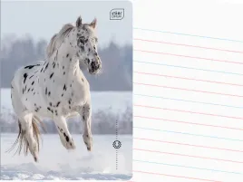interdruk-zeszyt-a5-linia-dwukolorowa-32-kartki-w-linie-wild-horses-kon