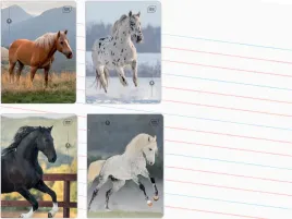 zestaw-4-x-zeszyt-a5-linia-dwukolorowa-32-kartki-w-linie-wild-horses-kon