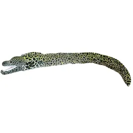 nd01-258204-murena-ciemna-110cm-32935