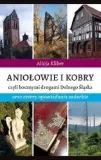 aniolowie-i-kobry-stan-nowy