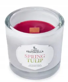 pavoncella-swieca-sojowa-spring-tulip-biala-170g-drewniany-knot
