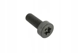 3010345x1-sruba-torx-m6-x-1-0-x-16-mm
