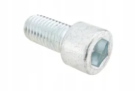 07160-120-025-sruba-imbusowa-m12-x-25