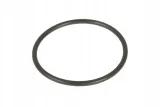 fc062-pierscien-oring-34-x-2