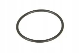 fc062-pierscien-oring-34-x-2