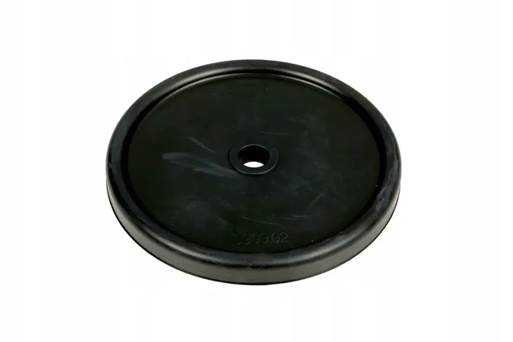 ud090302-membrana