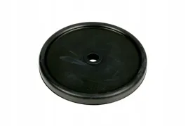ud090302-membrana