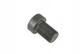 104500-0-sruba-specjalna-imbusowa-m10-x-20