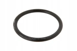 6005029231-oring-rozdzielacza-hydraulicznego