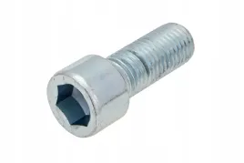 c020294-sruba-imbusowa-m16-x-2-0-x-40