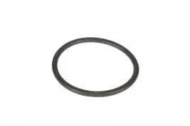 x548958466000-pierscien-oring-742-x-57