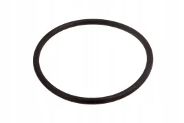 x549000800000-pierscien-oring-120-32-x-2-62